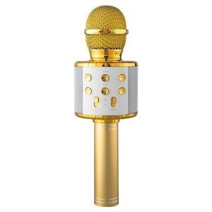 Gold Handheld KTV Wireless Microphone